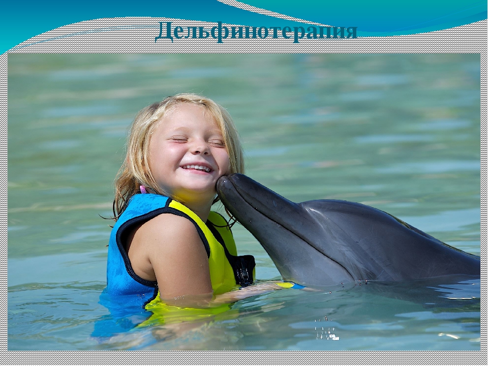 Что такое дельфинотерапия?